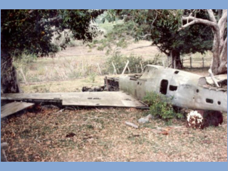 05 P-40F behind 2.jpg